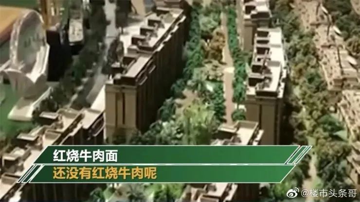 半岛·体育(中国)官方网站那些年的楼盘奇葩事 楼市315(图6)