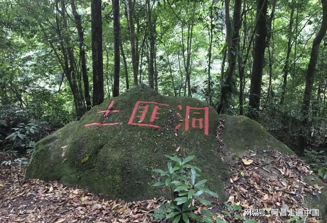 半岛·体育广西十万大山国家森林公园被大众误导的土匪窝：其实是珠江源头(图2)