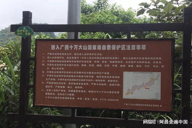 半岛·体育广西十万大山国家森林公园被大众误导的土匪窝：其实是珠江源头(图5)