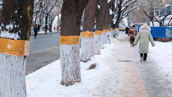 半岛·体育滑滑滑！雨雪天出行重要提醒→(图4)