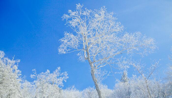 半岛·体育(中国)官方网站暴雪蓝色预警是什么意思 暴雪蓝色预警信号含义(图3)