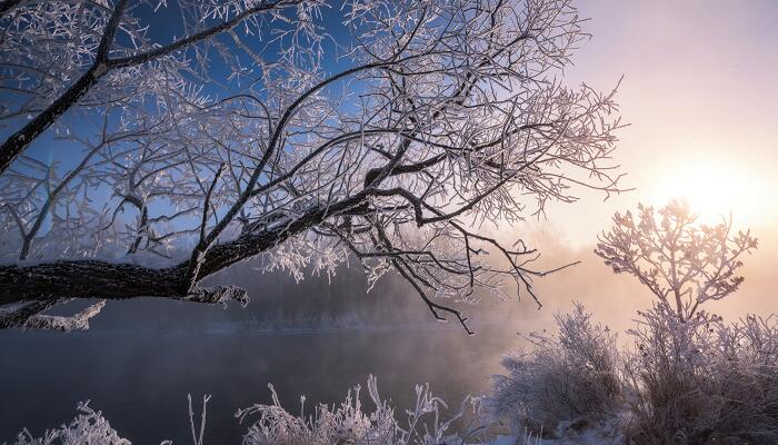 半岛·体育(中国)官方网站暴雪蓝色预警是什么意思 暴雪蓝色预警信号含义(图2)