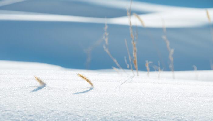 半岛·体育(中国)官方网站暴雪蓝色预警是什么意思 暴雪蓝色预警信号含义