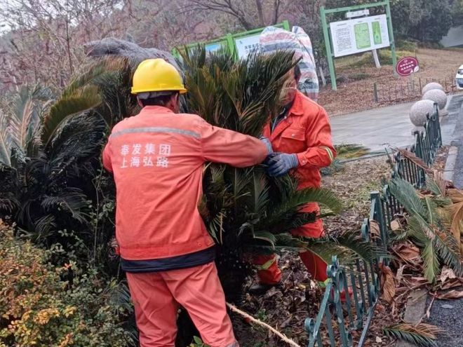 半岛·体育(中国)官方网站迎“寒”而上！西渡街道多措并举筑牢低温寒潮天气“防御墙(图3)