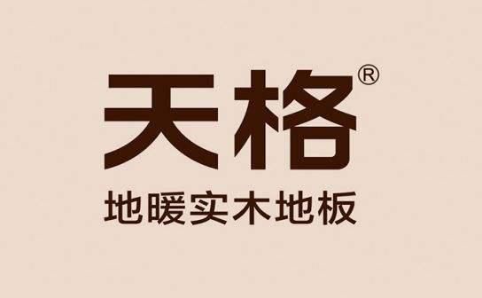 半岛·体育中国地板影响力十大品牌(图4)